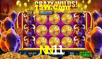 Canal oficial no Telegram da NN11